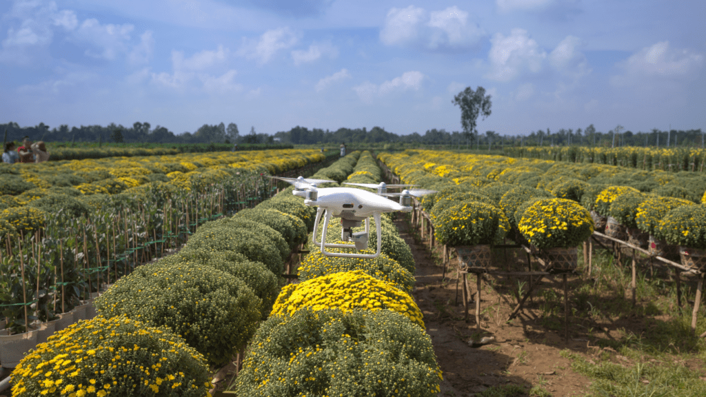 Drones monitor crop health