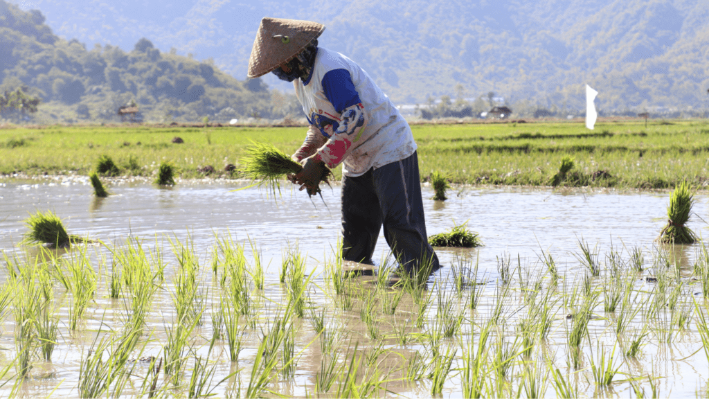 Engaging with Local Communities
