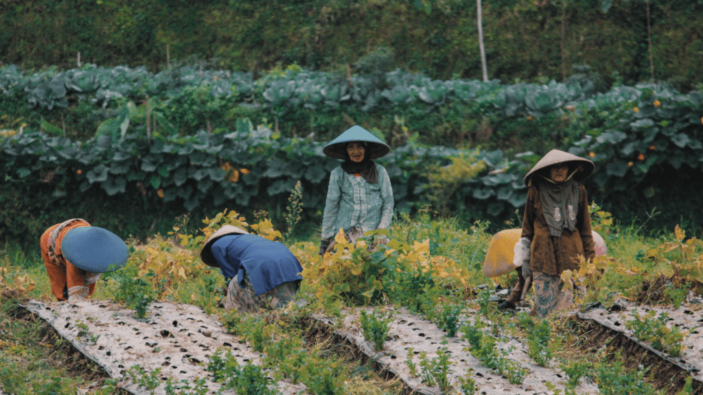 Farmers on Field