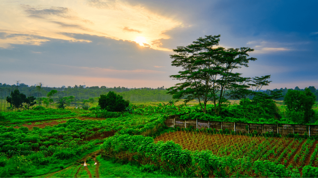 Small farm