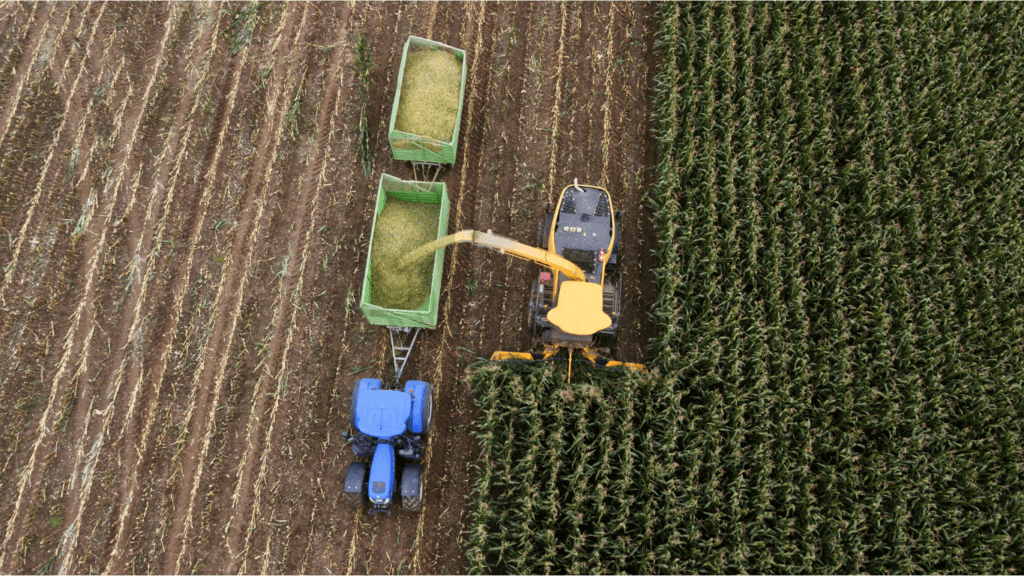 Robot harvesting in farm field