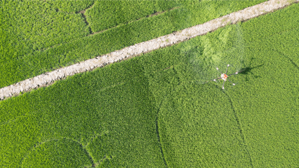 Drones in Agriculture