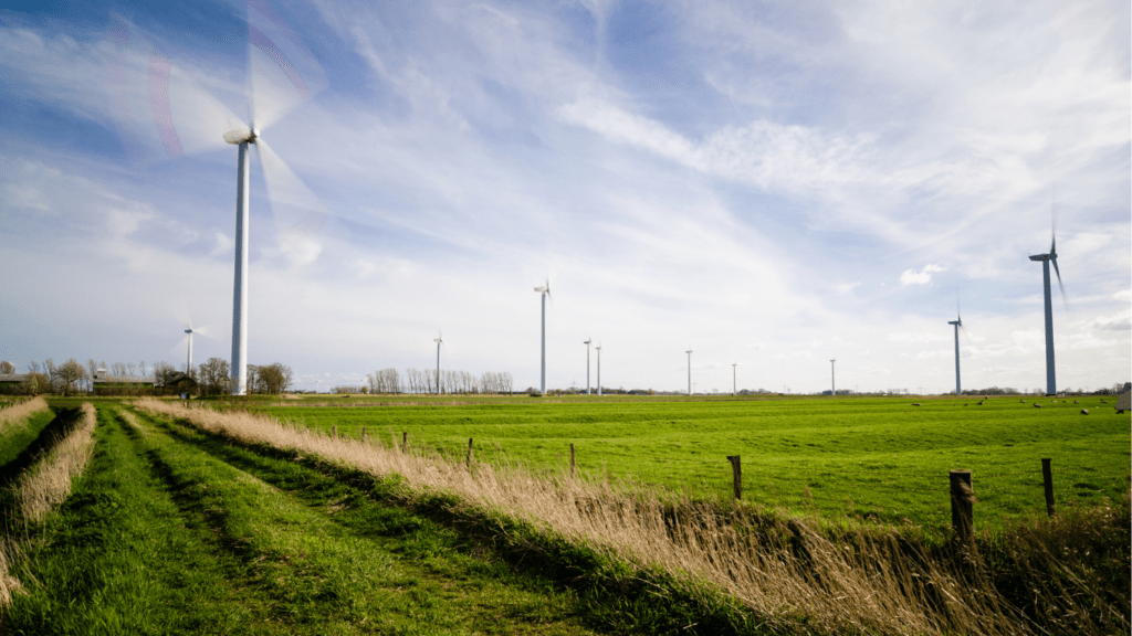 How to Transition to Renewable Energy on Your Farm: A Step-by-Step Guide