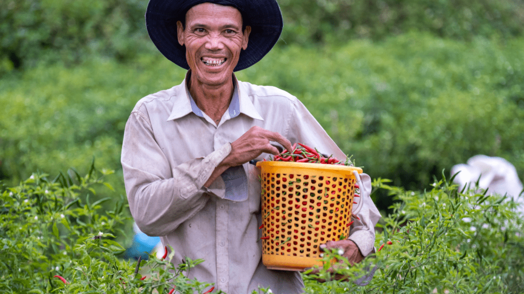 How to Write a Winning Grant Proposal for Your Farm: Expert Tips & Essential Steps