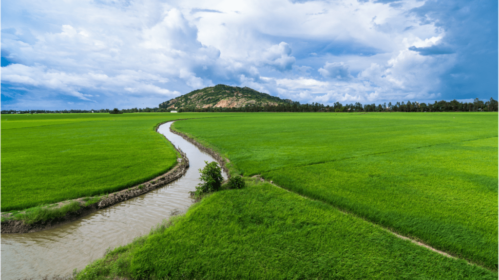 Irrigation in Farm