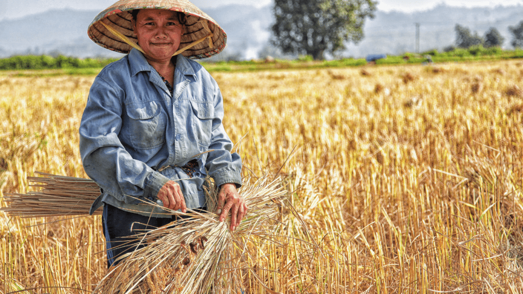 Climate Change on Agriculture