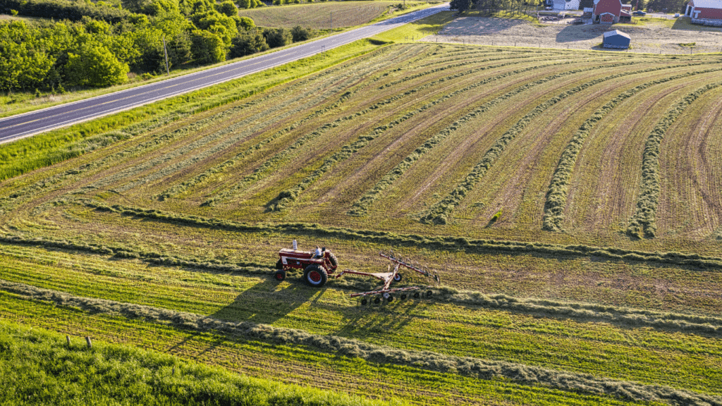 conservation tillage