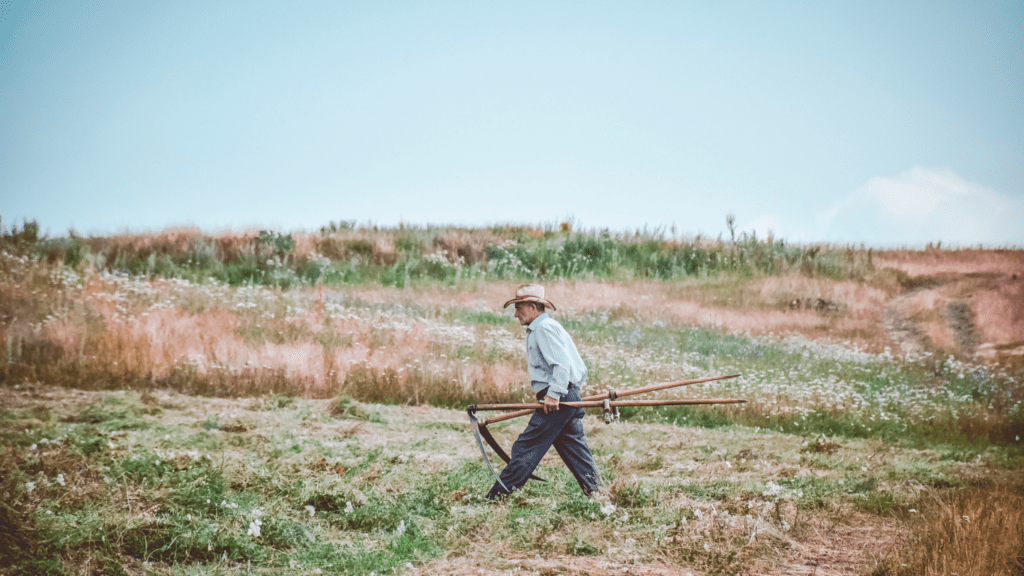 Farmer walking on a drought farm