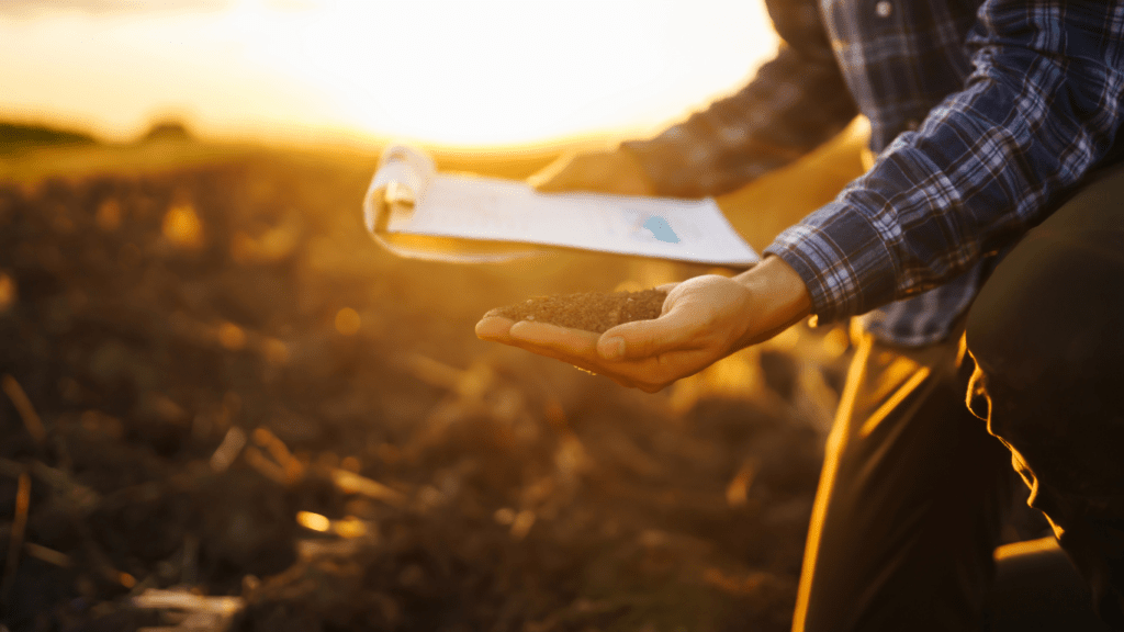 Checking Soil Health