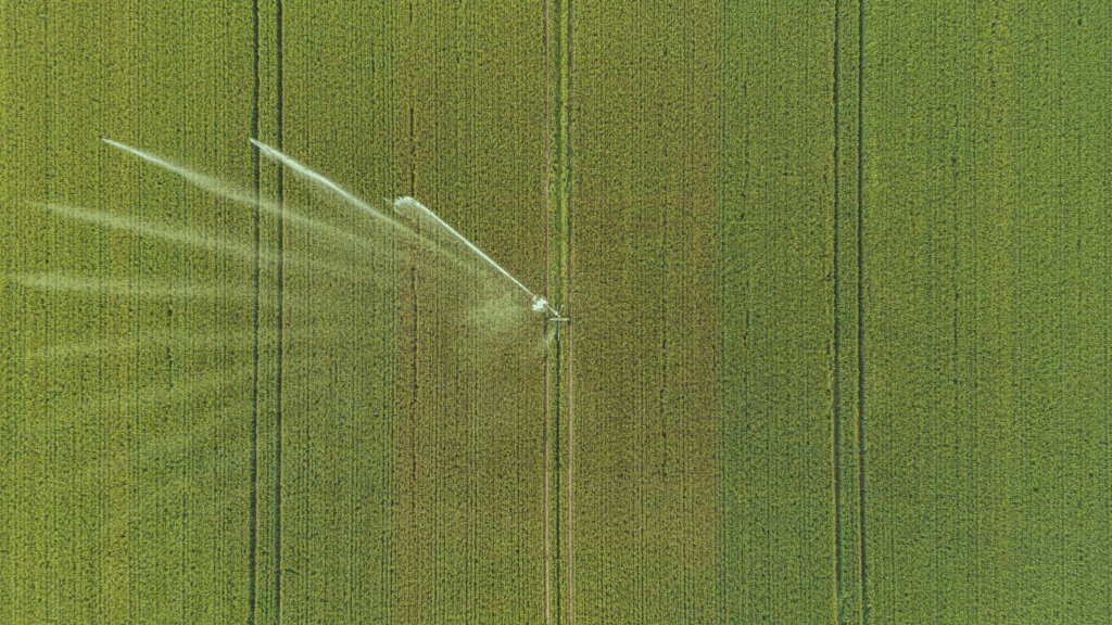 Irrigation on Farm field