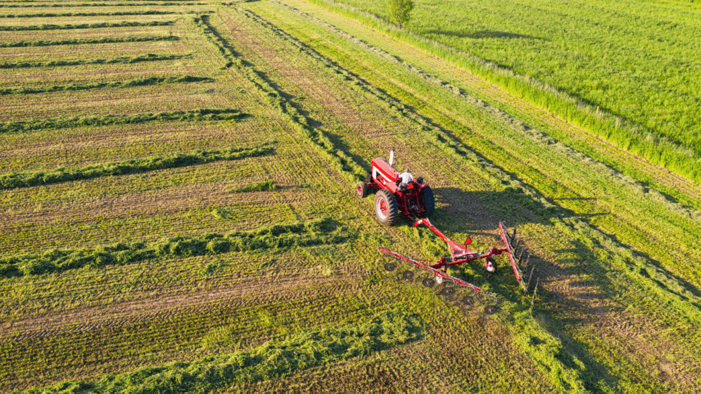 The Role of Technology in Modern Farming Enhancing Sustainability and Efficiency