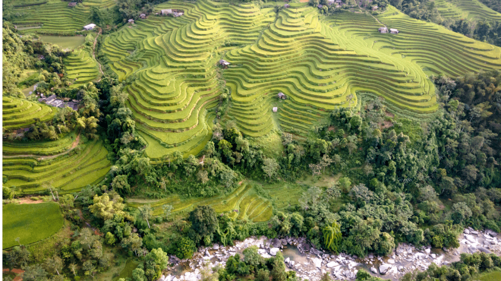 rice Terraces in Philippines