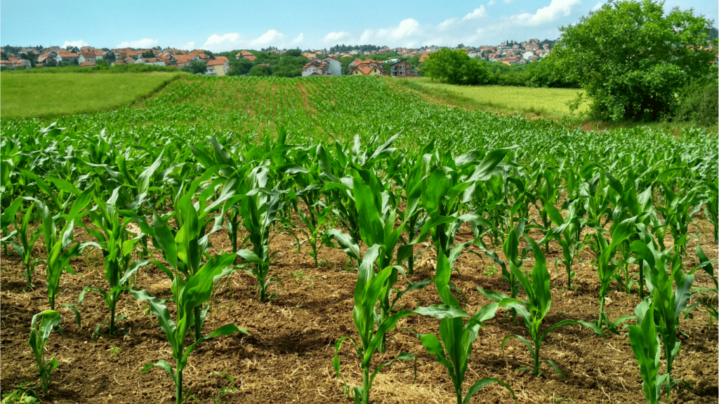 Top Funding Sources for Sustainable Farming in 2024 Grants Loans More