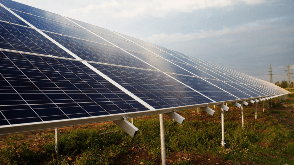 Types of Solar Panels Used in Agriculture