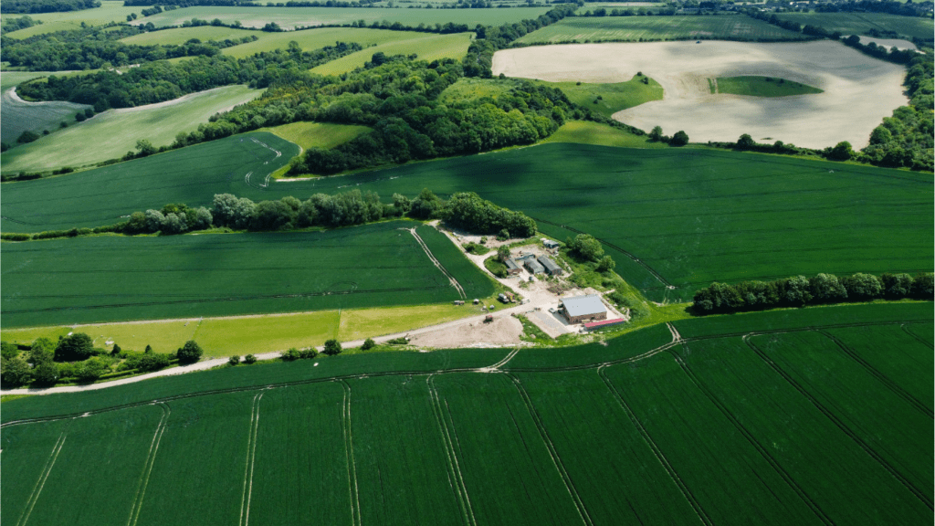 View of Farm field