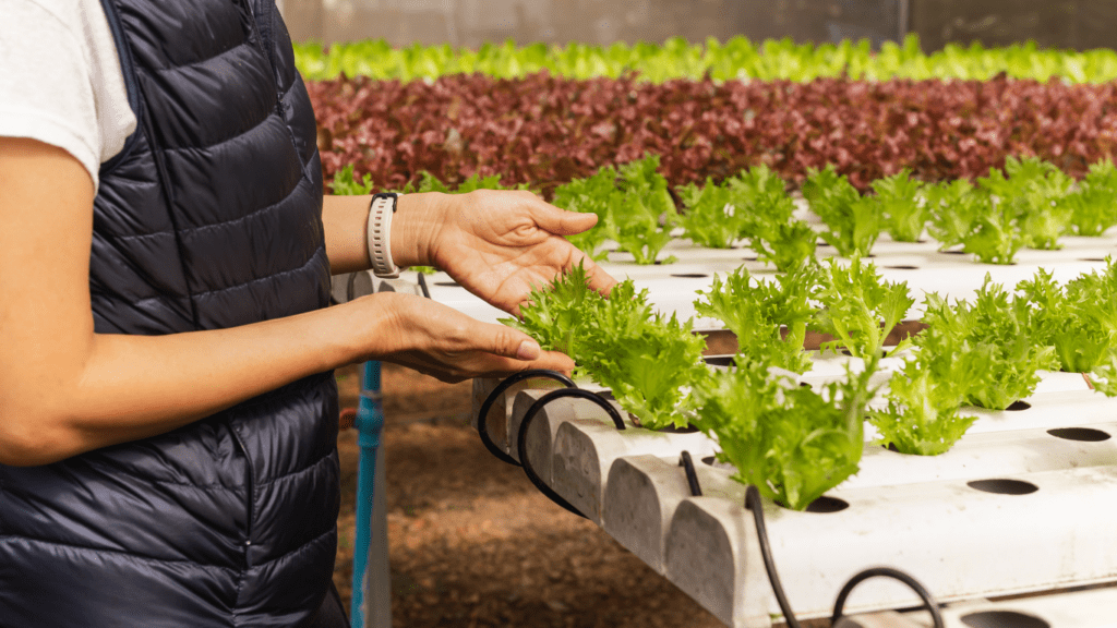 Vertical farming