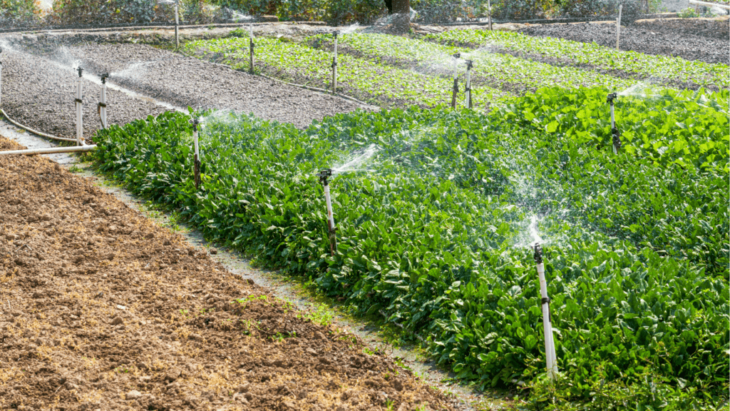 Irrigation system 