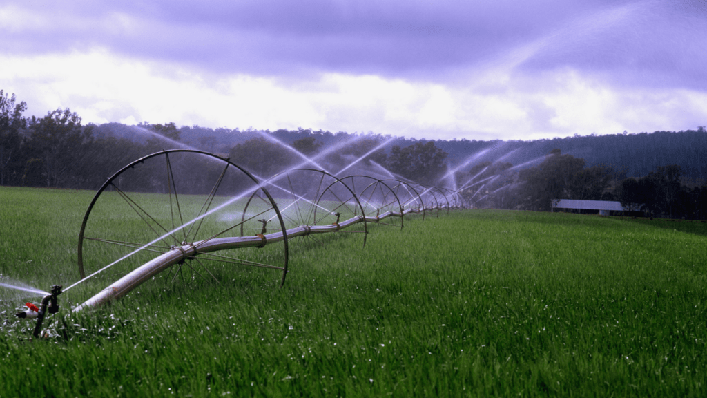 Top Sustainable Farming Techniques to Mitigate Climate Impact and Ensure Food Security 1024x576 1