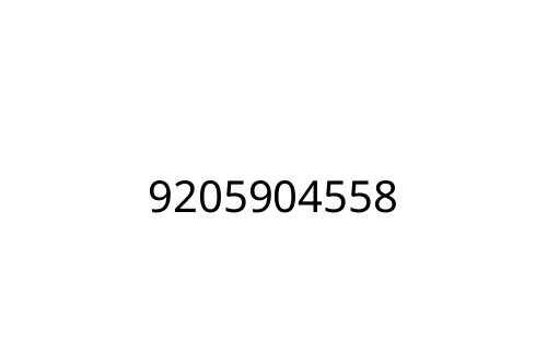 9205904558
