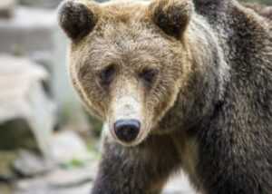 which positive lifestyle choice can reduce the risk of developing noncommunicable diseases?