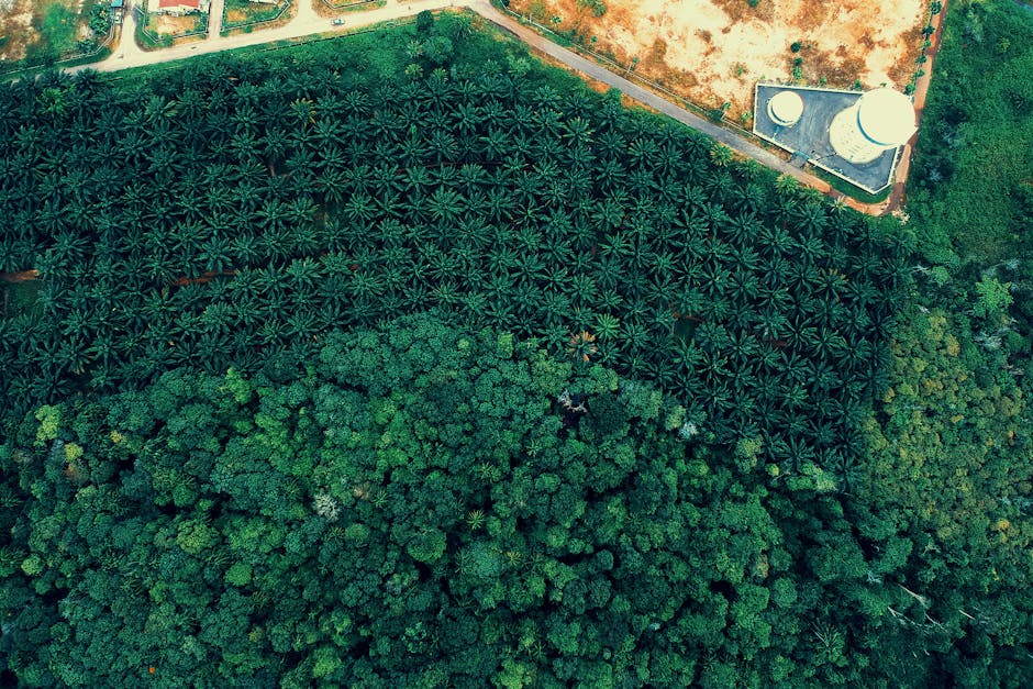 agricultural transition