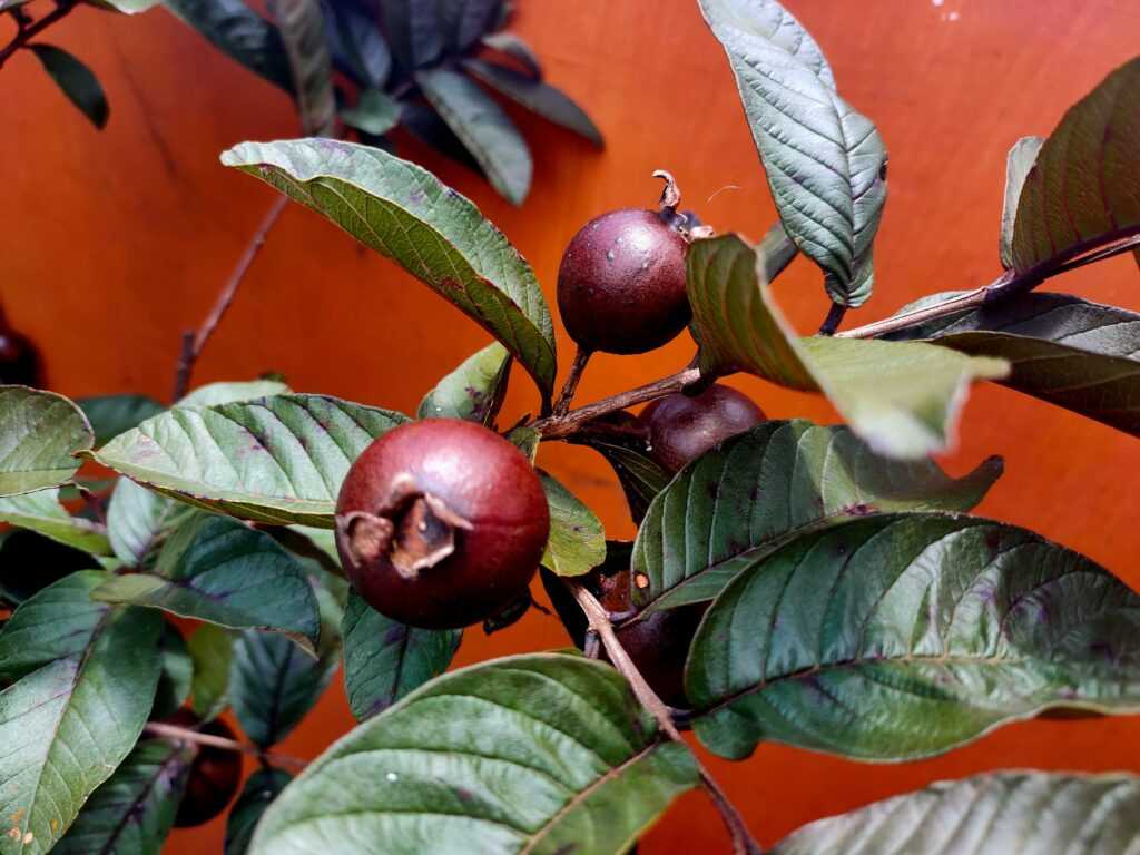 equan pr 43f5wEyPmUU unsplash