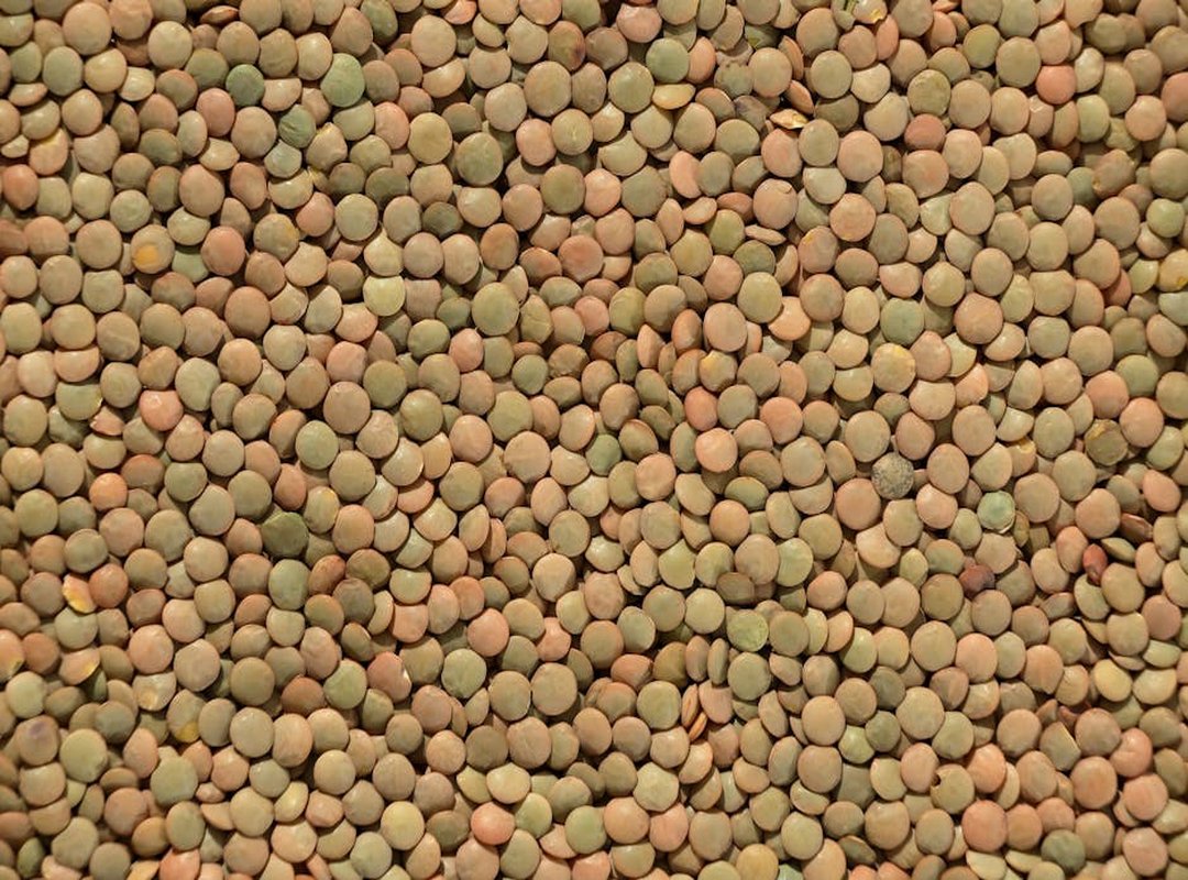 Home Nourishment Cwbiancarecipes