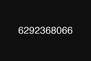 6292368066