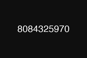 8084325970