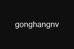 gonghangnv