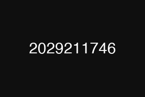 2029211746