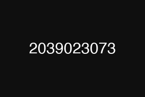 2039023073