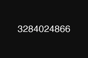 3284024866