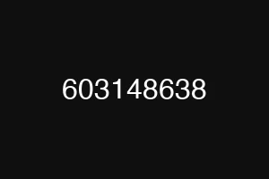 603148638
