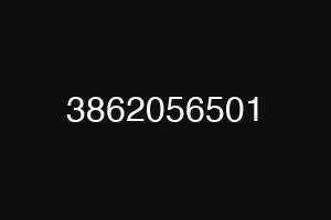 3862056501