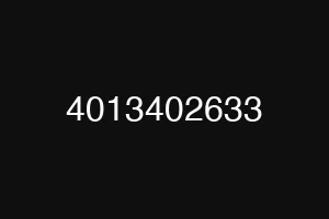 4013402633