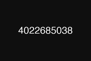 4022685038