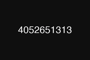 4052651313