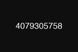 4079305758