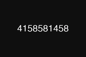 4158581458