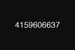 4159606637