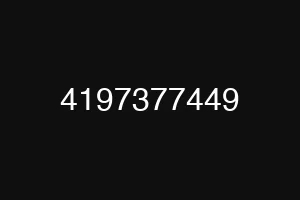4197377449