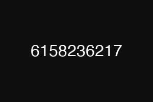 6158236217