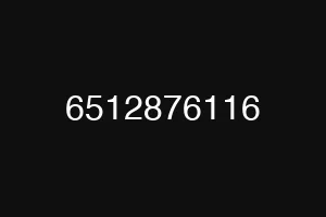 6512876116