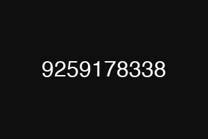9259178338