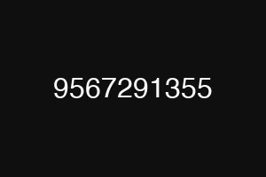 9567291355